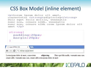 CSS Box Model (inline element)
 