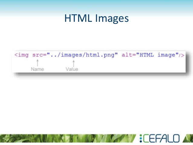Introduction to HTML and CSS