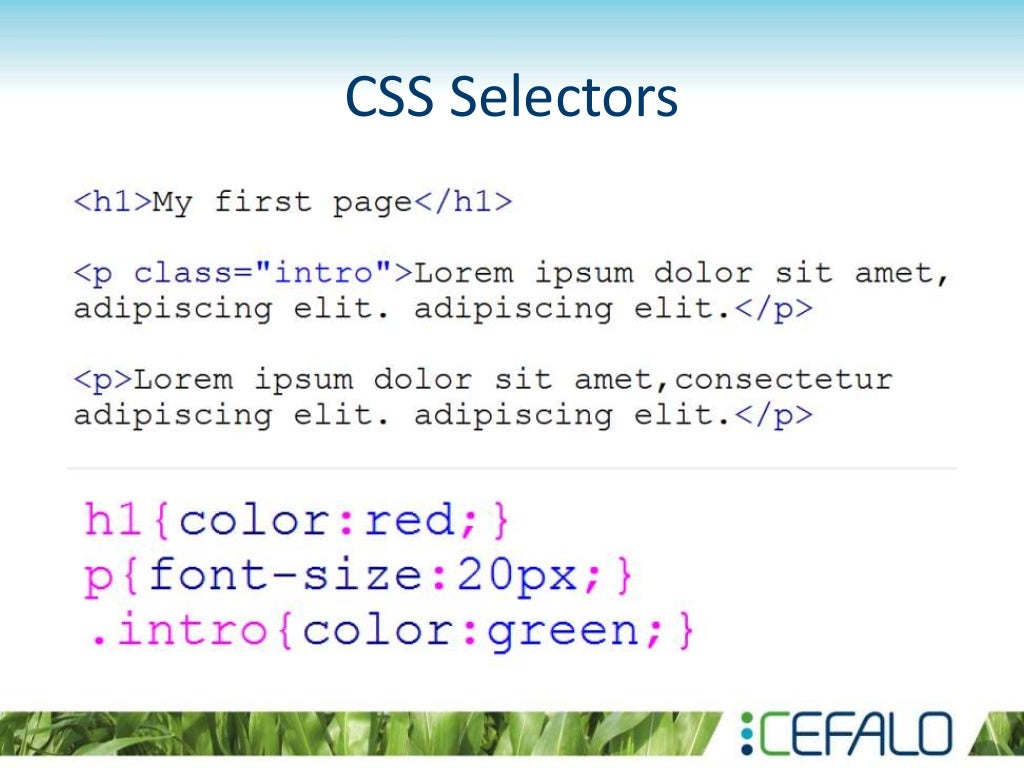 Introduction to HTML and CSS