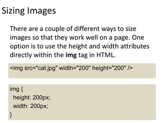 Sizing Images
There are a couple of different ways to size
images so that they work well on a page. One
option is to use the height and width attributes
directly within the img tag in HTML.
img {
height: 200px;
width: 200px;
}
<img src="cat.jpg" width="200" height="200" />
 