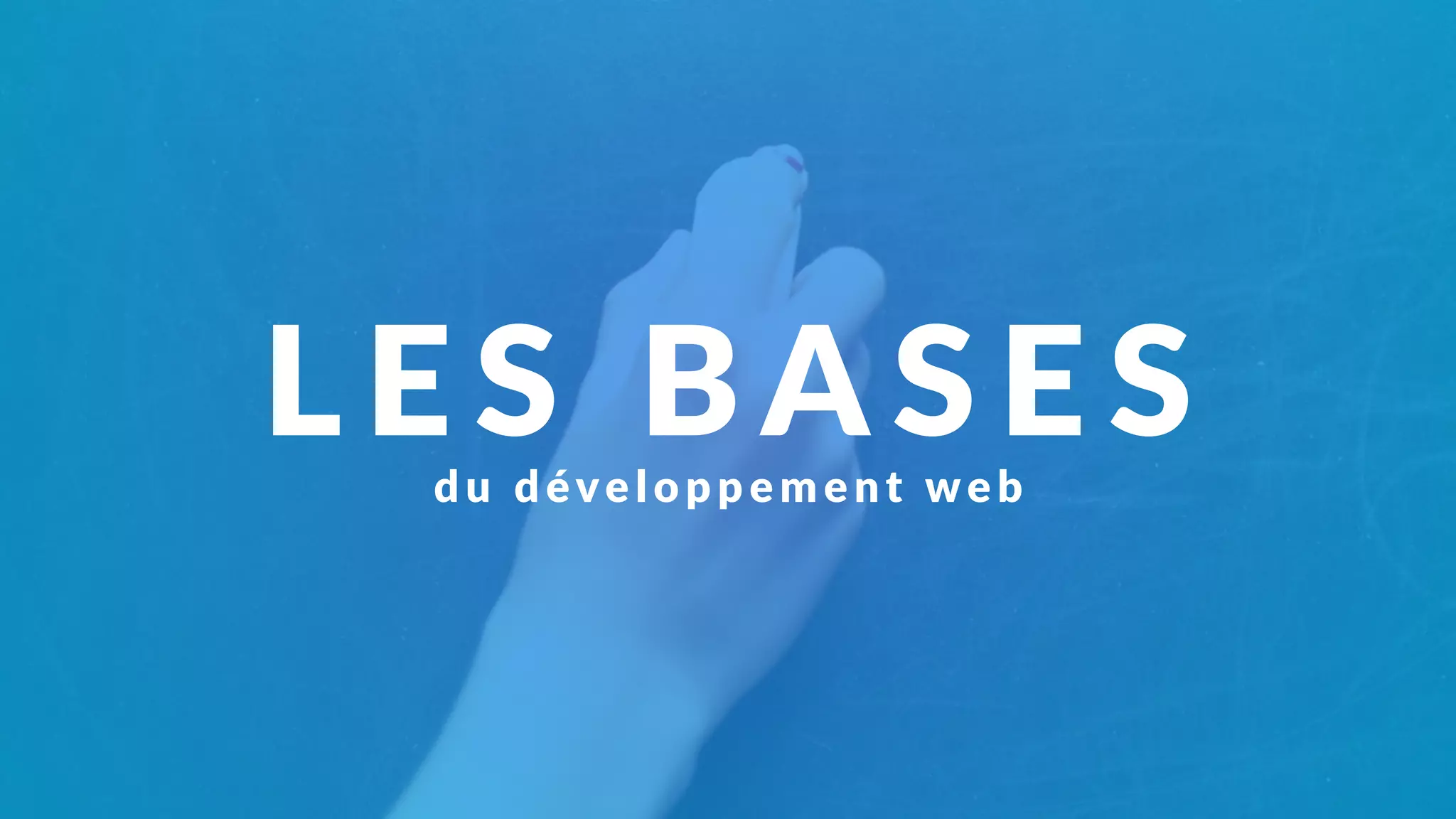 LES BASESdu déve l o p p e m e nt we b
 