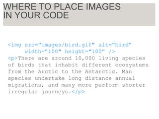 <img src="images/bird.gif" alt="bird"
width="100" height="100" />
<p>There are around 10,000 living species
of birds that inhabit different ecosystems
from the Arctic to the Antarctic. Man
species undertake long distance annual
migrations, and many more perform shorter
irregular journeys.</p>
WHERE TO PLACE IMAGES
IN YOUR CODE
 