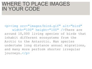 <p><img src="images/bird.gif" alt="bird"
width="100" height="100" />There are
around 10,000 living species of birds that
inhabit different ecosystems from the
Arctic to the Antarctic. Man species
undertake long distance annual migrations,
and many more perform shorter irregular
journeys.</p>
WHERE TO PLACE IMAGES
IN YOUR CODE
 