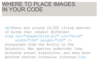 <p>There are around 10,000 living species
of birds that inhabit different
<img src="images/bird.gif" alt="bird"
width="100" height="100" />
ecosystems from the Arctic to the
Antarctic. Man species undertake long
distance annual migrations, and many more
perform shorter irregular journeys.</p>
WHERE TO PLACE IMAGES
IN YOUR CODE
 