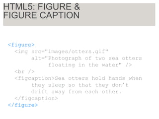 <figure>
<img src="images/otters.gif"
alt="Photograph of two sea otters
floating in the water" />
<br />
<figcaption>Sea otters hold hands when
they sleep so that they don’t
drift away from each other.
</figcaption>
</figure>
HTML5: FIGURE &
FIGURE CAPTION
 