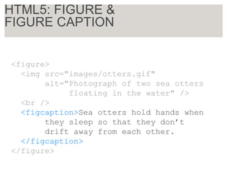 <figure>
<img src="images/otters.gif"
alt="Photograph of two sea otters
floating in the water" />
<br />
<figcaption>Sea otters hold hands when
they sleep so that they don’t
drift away from each other.
</figcaption>
</figure>
HTML5: FIGURE &
FIGURE CAPTION
 