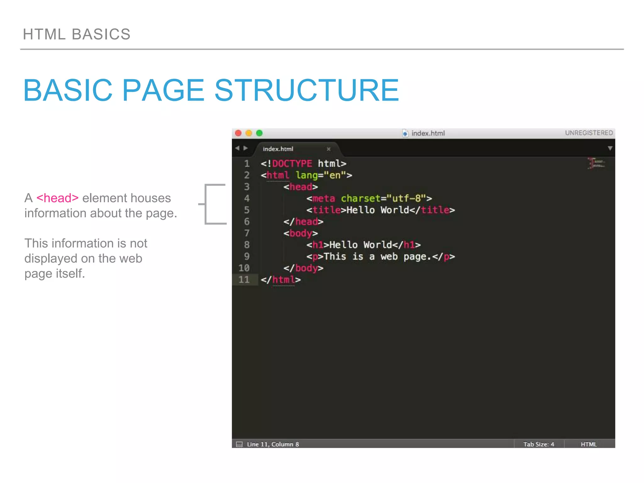 HTML BASICS
BASIC PAGE STRUCTURE
A <head> element houses
information about the page.
This information is not
displayed on the web
page itself.
 
