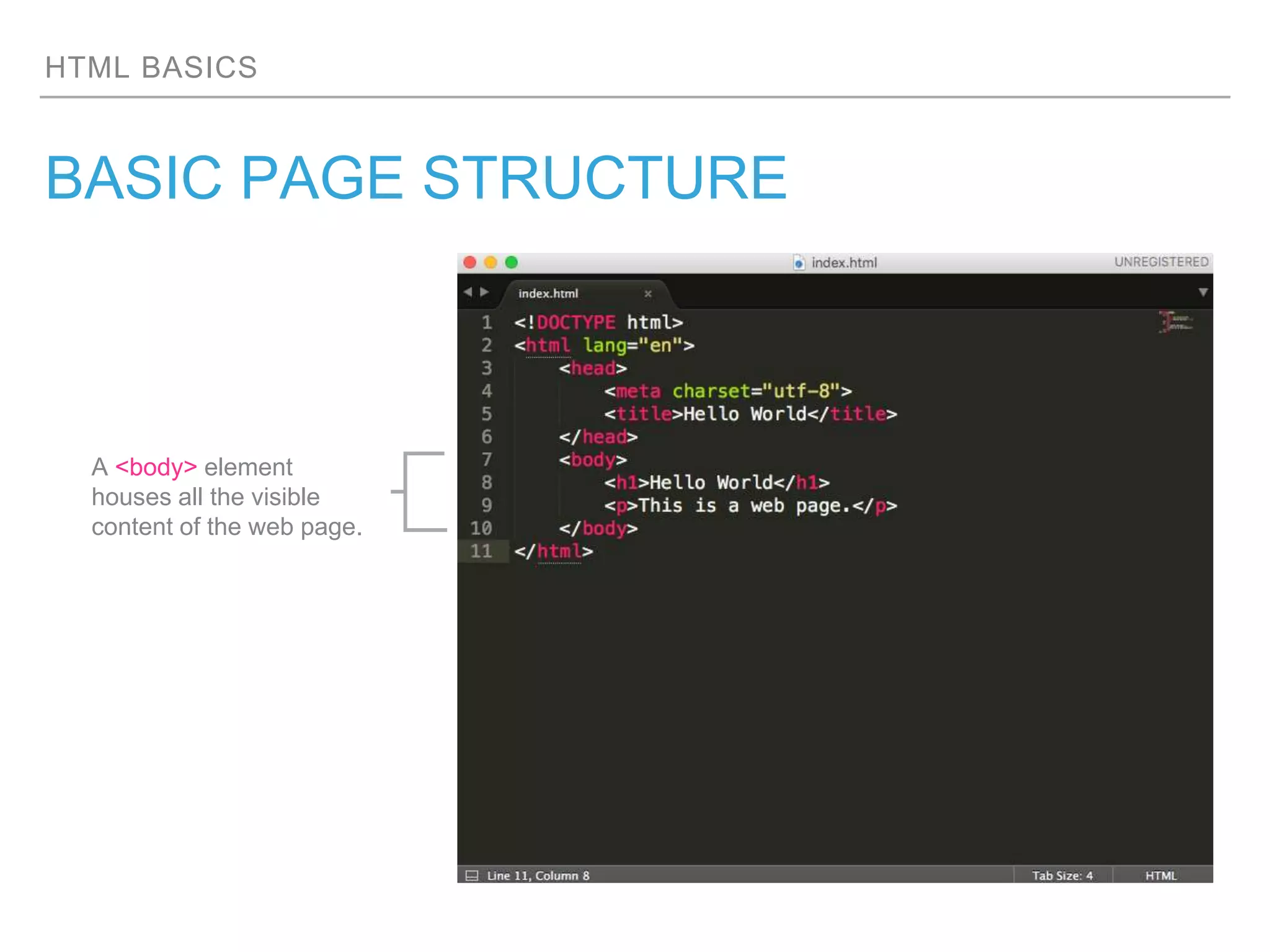 HTML BASICS
BASIC PAGE STRUCTURE
A <body> element
houses all the visible
content of the web page.
 