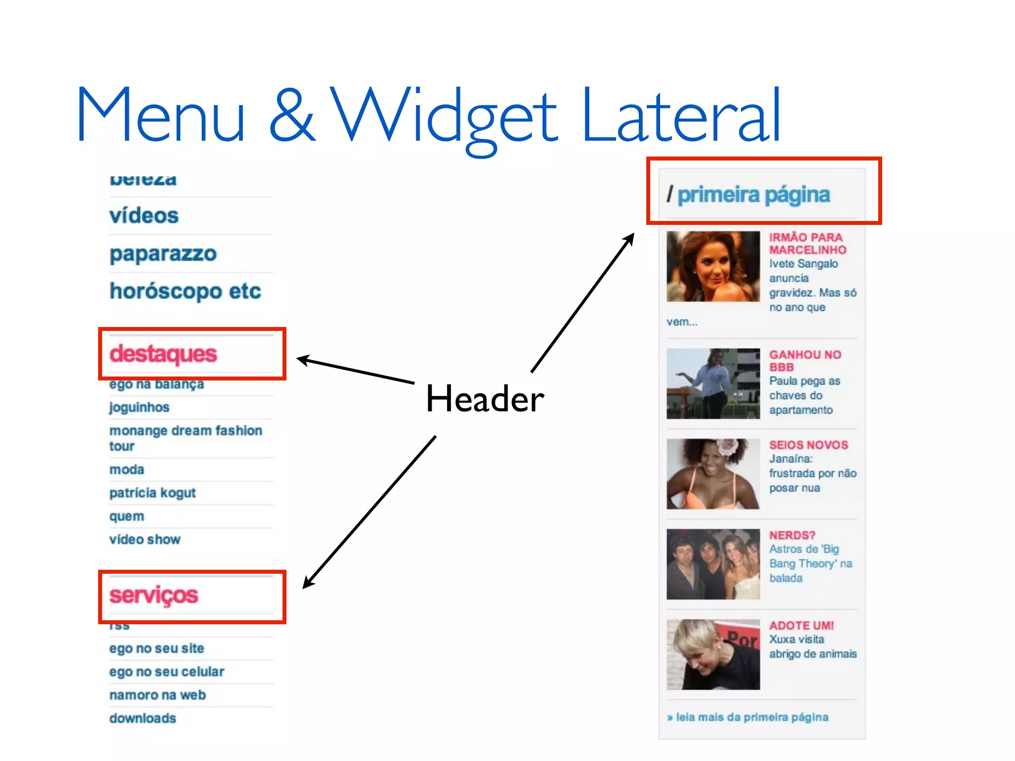 Menu & Widget Lateral Header 