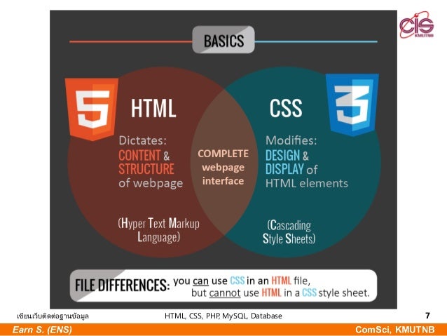 HTML, CSS, PHP,MySQL, Database เขียนเว็บติดต่อฐานข้อมูล เริ่ม จาก 0 ...