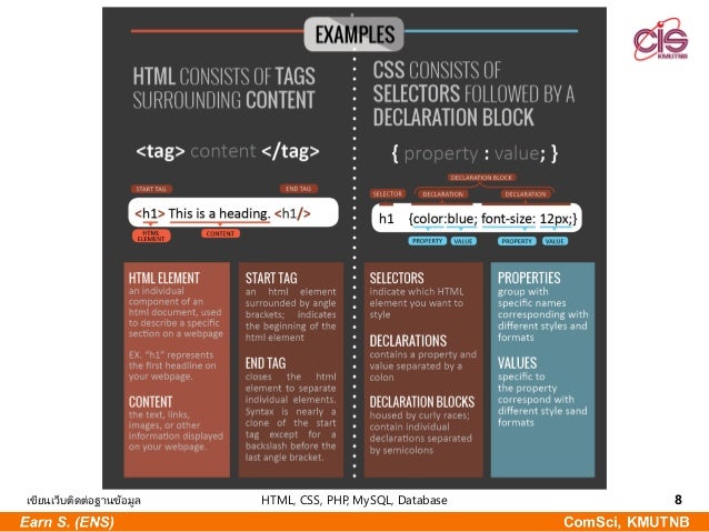 HTML, CSS, PHP,MySQL, Database เขียนเว็บติดต่อฐานข้อมูล เริ่ม จาก 0 ...