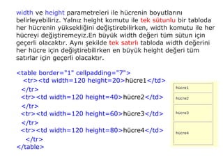 width ve height parametreleri ile hücrenin boyutlarını
belirleyebiliriz. Yalnız height komutu ile tek sütunlu bir tabloda
her hücrenin yüksekliğini değiştirebilirken, width komutu ile her
hücreyi değiştiremeyiz.En büyük width değeri tüm sütun için
geçerli olacaktır. Aynı şekilde tek satırlı tabloda width değerini
her hücre için değiştirebilirken en büyük height değeri tüm
satırlar için geçerli olacaktır.

<table border="1" cellpadding="7">
  <tr><td width=120 height=20>hücre1</td>
 </tr>
 <tr><td width=120 height=40>hücre2</td>
 </tr>
 <tr><td width=120 height=60>hücre3</td>
 </tr>
 <tr><td width=120 height=80>hücre4</td>
   </tr>
</table>
 
