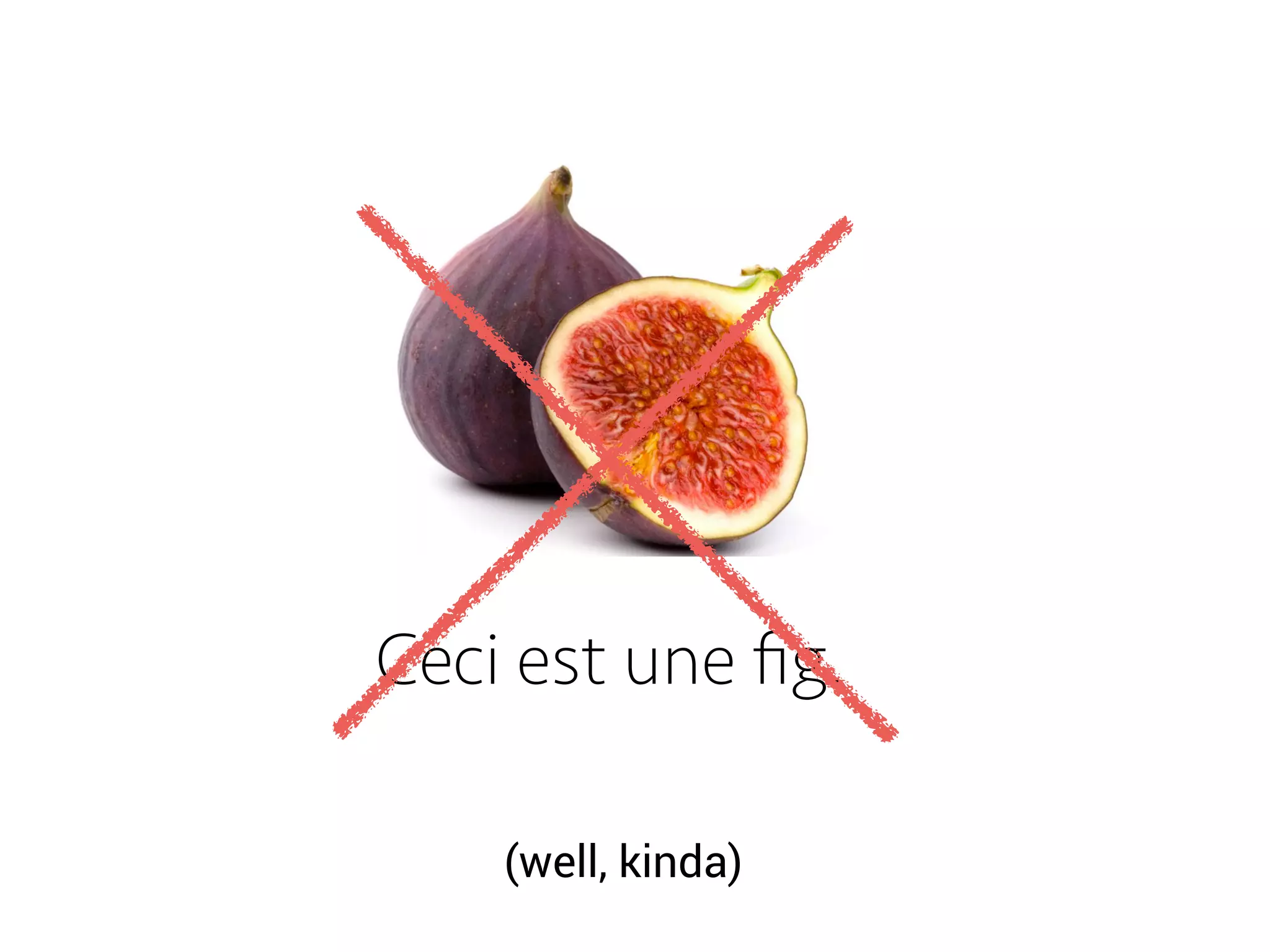 Ceci est une ﬁg.
(well, kinda)
 
