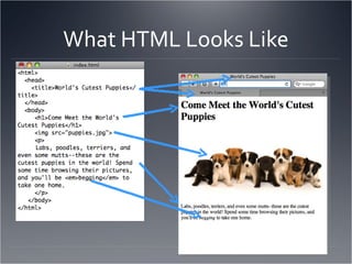 What HTML Looks Like 