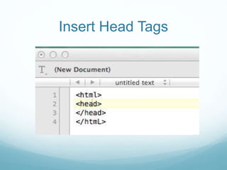 Insert Head Tags 
 