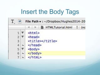 Insert the Body Tags 
 