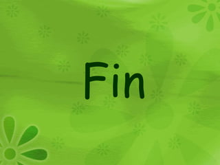 Fin
 