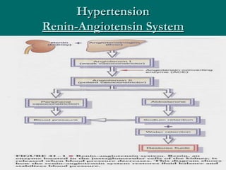 Hypertension
Renin-Angiotensin System
 