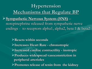 Hypertension
      Mechanisms that Regulate BP
 Sympathetic Nervous System (SNS) –
  norepinephrine released from sympath...