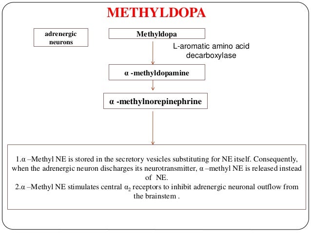 Labetalol And Methyldopa Pregnancy