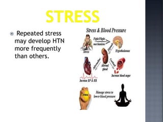  Repeated stress
may develop HTN
more frequently
than others.
 