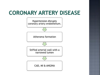Hypertension disrupts
coronary artery endothelium.
Atheroma formation
Stiffed arterial wall with a
narrowed lumen
CAD, MI & ANGINA
 