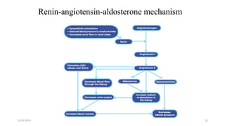 Renin-angiotensin-aldosterone mechanism
12/24/2024 22
 