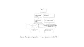 HTN
Endothelial
injury
Increased
afterload
LV hypertrophy
Atheroscler
osis
Increased myocardial
demand and decreased diastolic
coronary flow
Vascular lumen
narrowing and
occlusion
Worsening of
HTN
CHD M ischemia
Figure : Pathophysiological link between hypertension and CHD.
 
