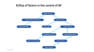 R/Ship of factors in the control of BP
12/24/2024 9
 