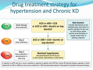 Drug treatment strategy for
hypertension and Chronic KD
 