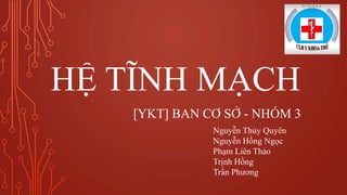 HỆ TĨNH MẠCH
[YKT] BAN CƠ SỞ - NHÓM 3
Nguyễn Thủy Quyên
Nguyễn Hồng Ngọc
Phạm Liên Thảo
Trịnh Hồng
Trần Phương
 