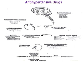 Antihypertensive Drugs
Continue….
AT1 receptor
ARB
 
