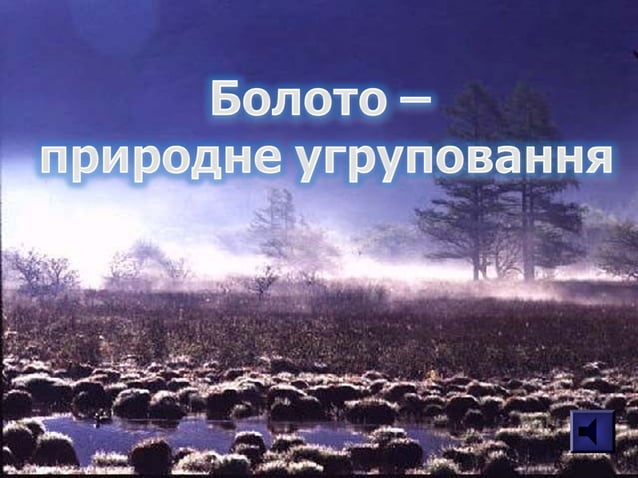 Болото | PPT