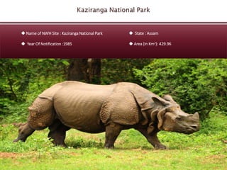 Name of NWH Site : Kaziranga National Park
Year Of Notification :1985
State : Assam
Area (In Km2): 429.96
 