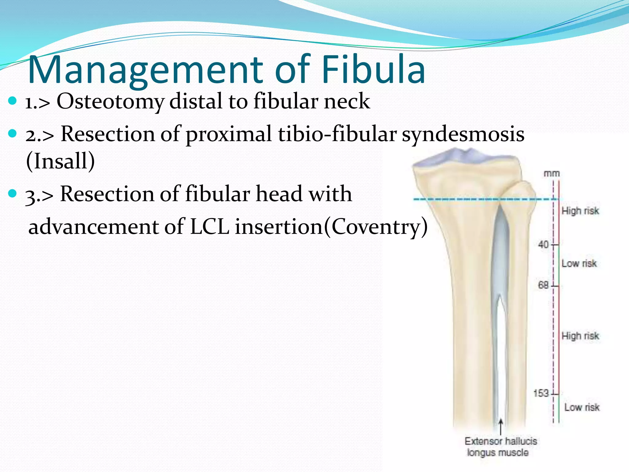 Management of Fibula
 1.> Osteotomy distal to fibular neck
 2.> Resection of proximal tibio-fibular syndesmosis
(Insall)
 3.> Resection of fibular head with
advancement of LCL insertion(Coventry)
 