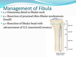 Management of Fibula
 1.> Osteotomy distal to fibular neck
 2.> Resection of proximal tibio-fibular syndesmosis
(Insall)
 3.> Resection of fibular head with
advancement of LCL insertion(Coventry)
 