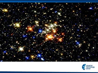 HTown Day 2012- Walter Ulrich