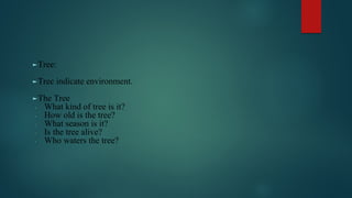 ►Tree:
►Tree indicate environment.
►The Tree
∙ What kind of tree is it?
∙ How old is the tree?
∙ What season is it?
∙ Is the tree alive?
∙ Who waters the tree?
 