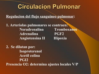 Circulacion Pulmonar Regulacion del flujo sanguineo pulmonar : 1. Arteriolas pulmonares se contraen: Noradrenalina  Tromboxanos Adrenalina  PGF2 Angiotensina II  Hipoxia 2.  Se dilatan por: Isoproterenol Acetil colina PGI2 Presencia O2: determina ajustes locales V/P   