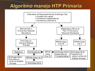 Algoritmo manejo HTP Primaria 
