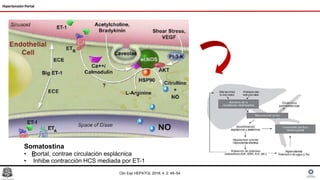Hipertensión Portal
Somatostina
• ↓
P
portal, contrae circulación esplácnica
• Inhibe contracción HCS mediada por ET-1
Clin Exp HEPATOL 2018; 4, 2: 49–54
 