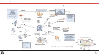 Hipertensión Portal
 