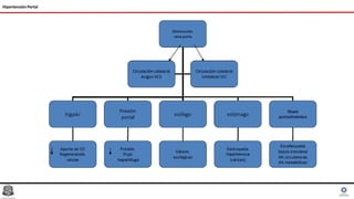 Hipertensión Portal
 