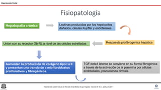 Fisiopatología
Hipertensión Portal
Hepatopatía crónica Leptinas producidas por los hepatocitos
dañados, células Kupffer y endoteliales.
Respuesta profibrogénica hepática
Unión con su receptor Ob-RL a nivel de las células estrelladas
Aumentan la producción de colágeno tipo I a II
y presentan una transición a miofibroblastos
proliferativos y fibrogénicos.
TGF-beta1 latente se convierte en su forma fibrogénica
a través de la activación de la plasmina por células
endoteliales, produciendo cirrosis.
Hipertensión portal, Articulo de Revisión Acta Médica Grupo Ángeles. Volumen 9, No. 2, abril-junio 2011
 