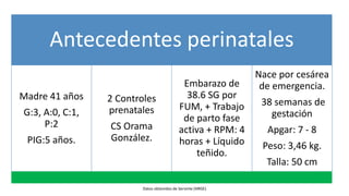 HTPP FINAL LISTA presentación 1 (1).pptx