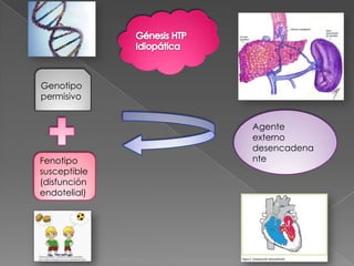 Genotipo
permisivo


              Agente
              externo
              desencadena
Fenotipo      nte
susceptible
(disfunción
endotelial)
 