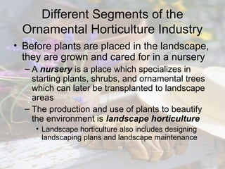 Different Segments of the
Ornamental Horticulture Industry
• Before plants are placed in the landscape,
they are grown and...