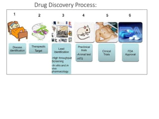 Drug Discovery Process:
 