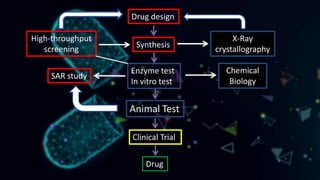 Hts Screening Method High-throughput screening (HTS) | PPTX