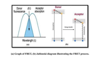 (a) Graph of FRET, (b) Jablonski diagram illustrating the FRET process.
 